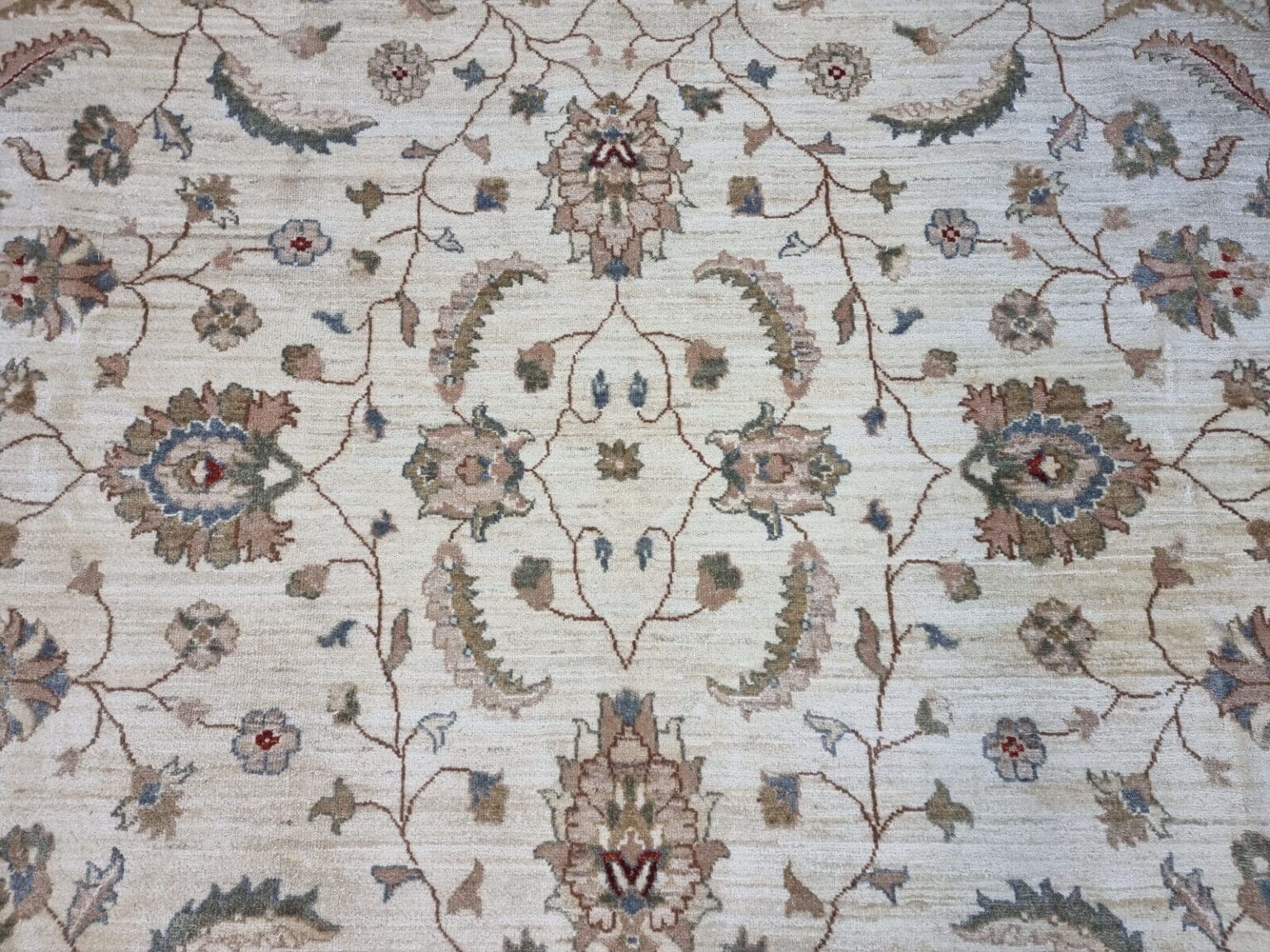 Oriental Rug Pakistan 490 x 278 cm Wool Hand-knotted