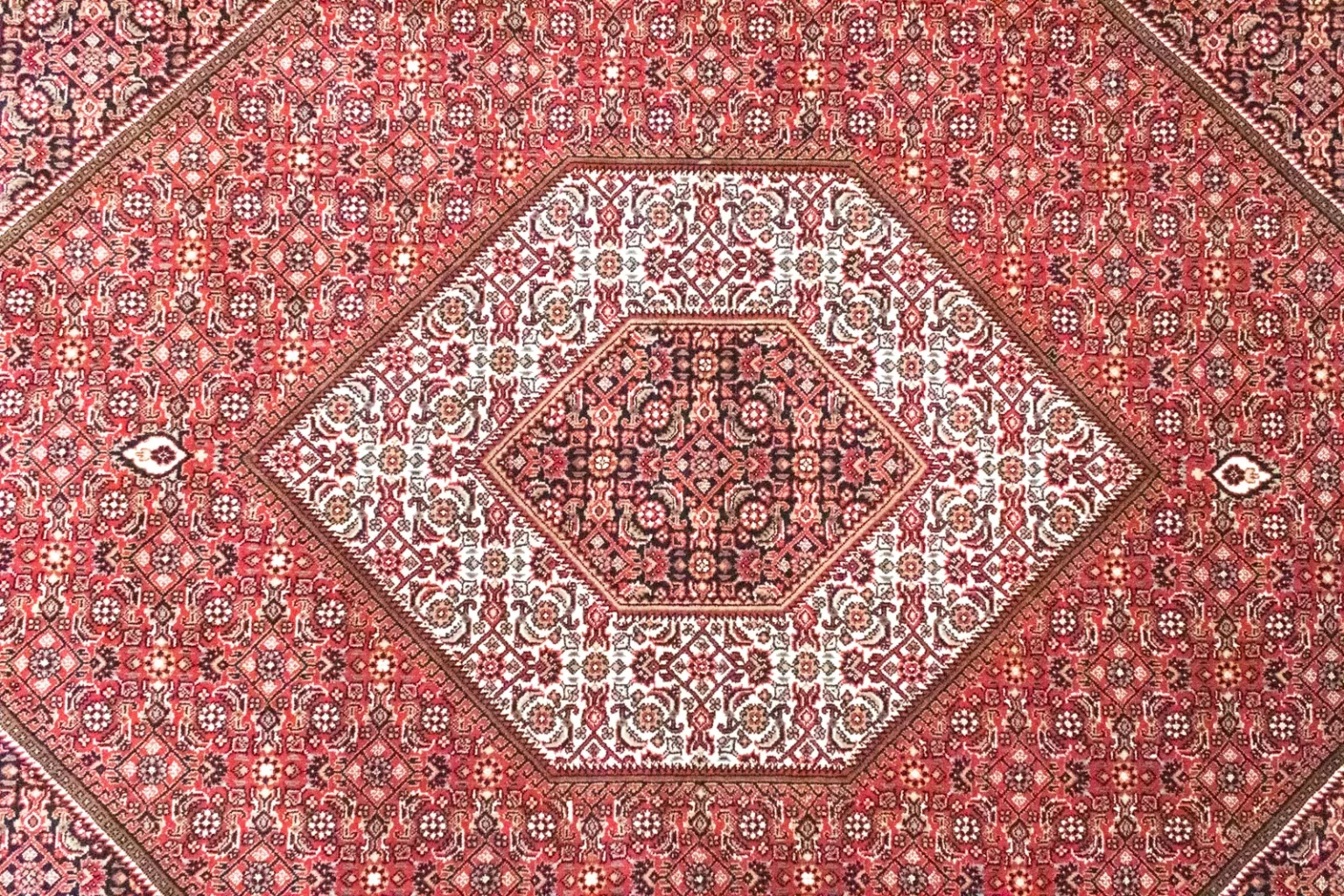 Oriental Rug Bijar 286 x 208 cm Wool Hand-knotted