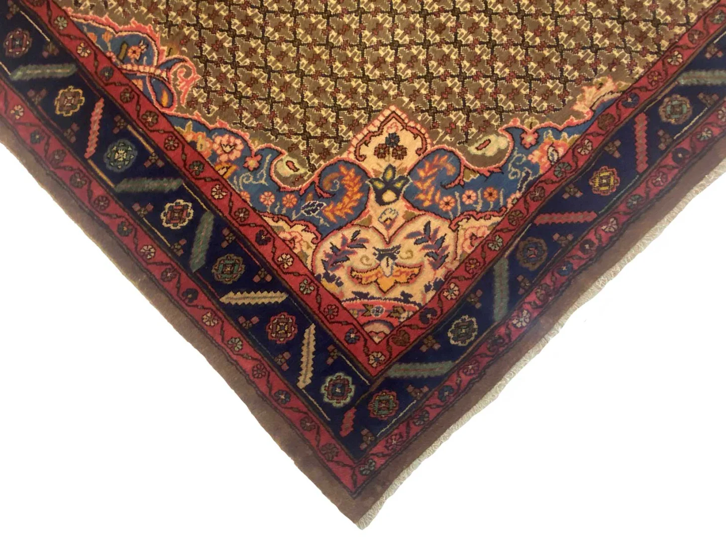 Persian Rug Lilyan 323 x 208 cm Wool Hand-knotted