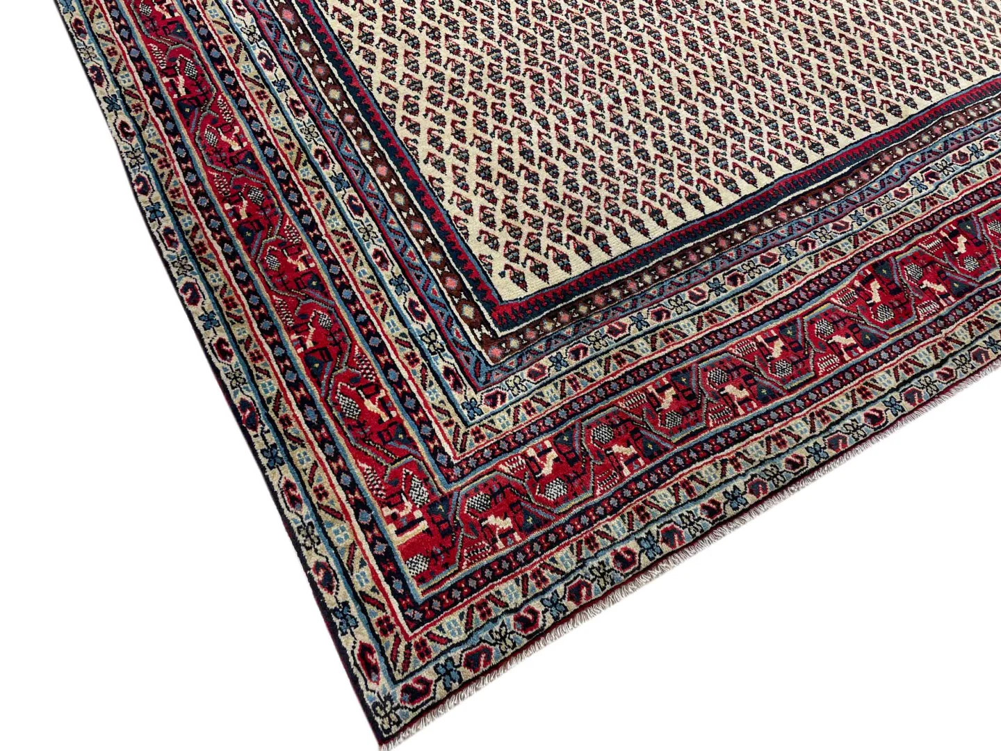Persian Rug Sarouk 300 x 215 cm Wool Hand-knotted