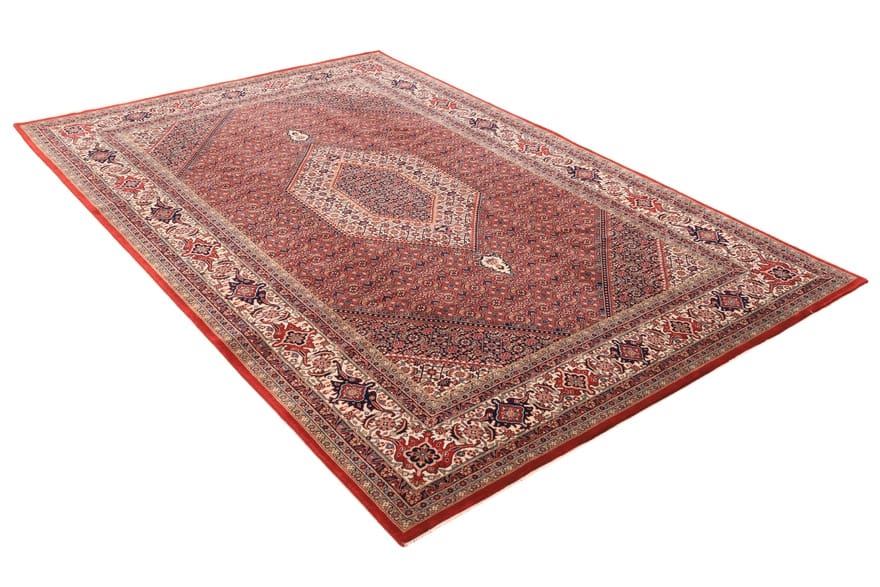 Bijar Indian Rug 304 × 201 cm, Wool & Silk, hand-knotted
