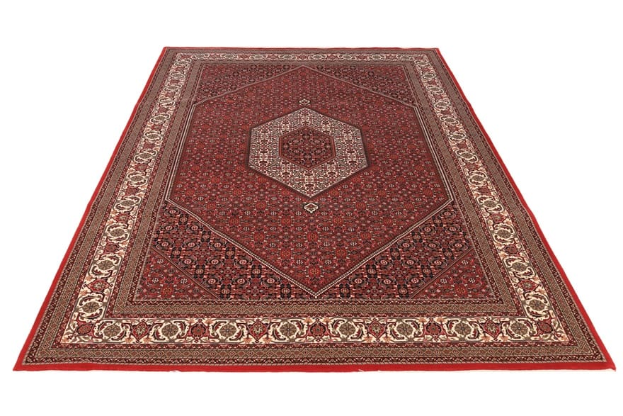 Bijar Indian Rug 304 × 200 cm, Wool & Silk, hand-knotted