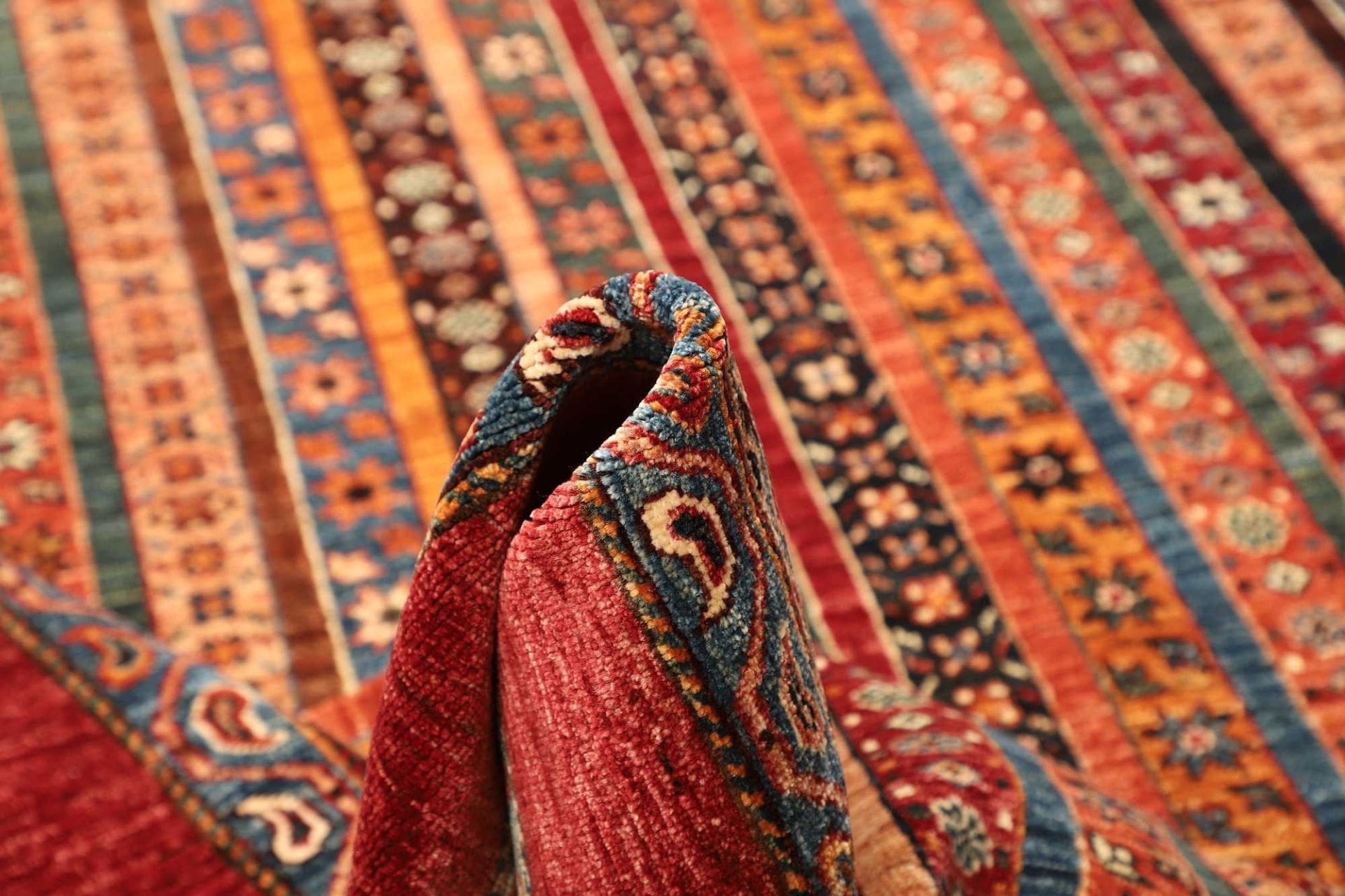 Ziegler Pakistani Rug — hand-knotted, 222 × 307 cm, Wool