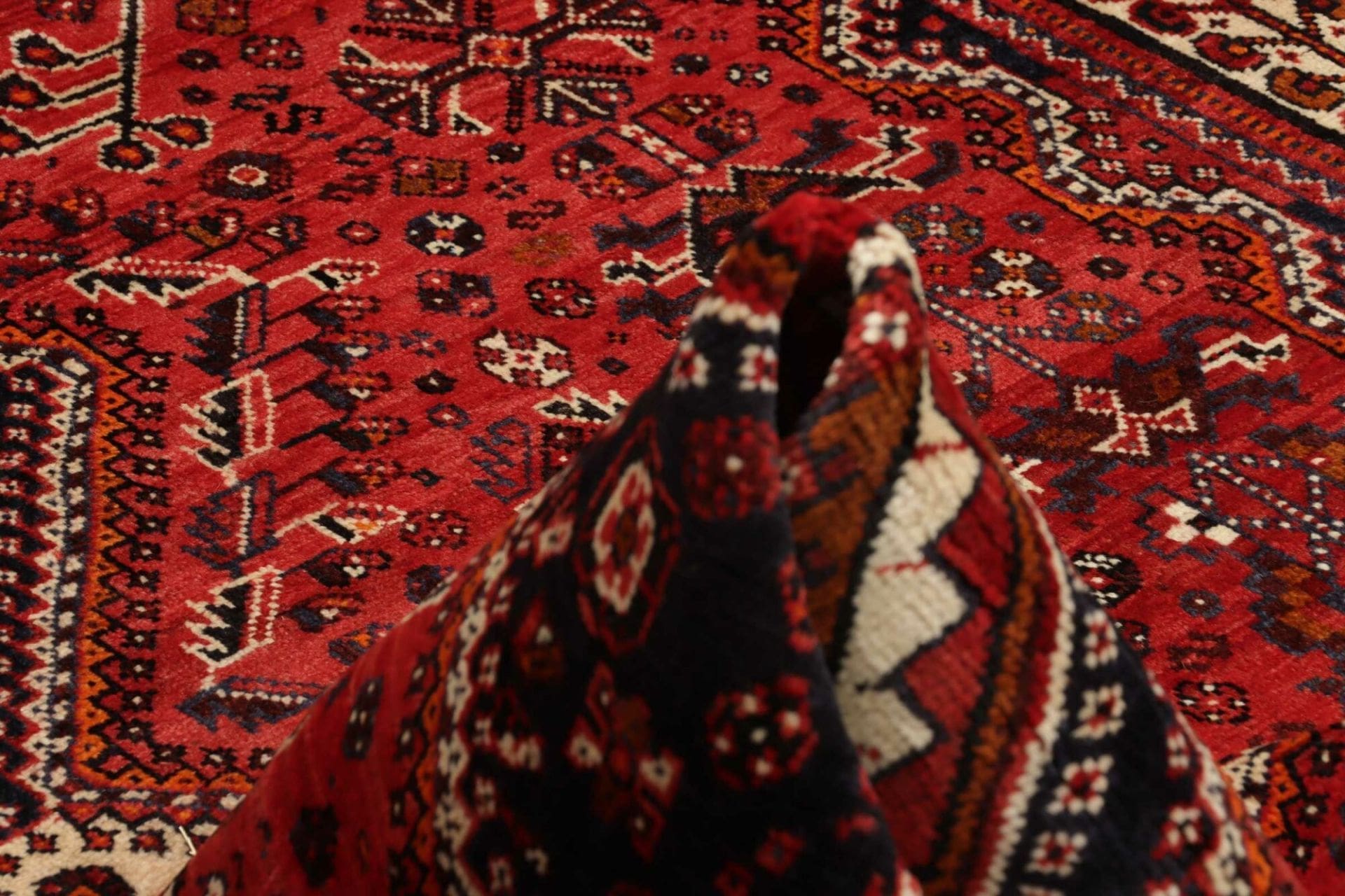 Shiraz Persian Rug — hand-knotted, 186 × 285 cm, Wool