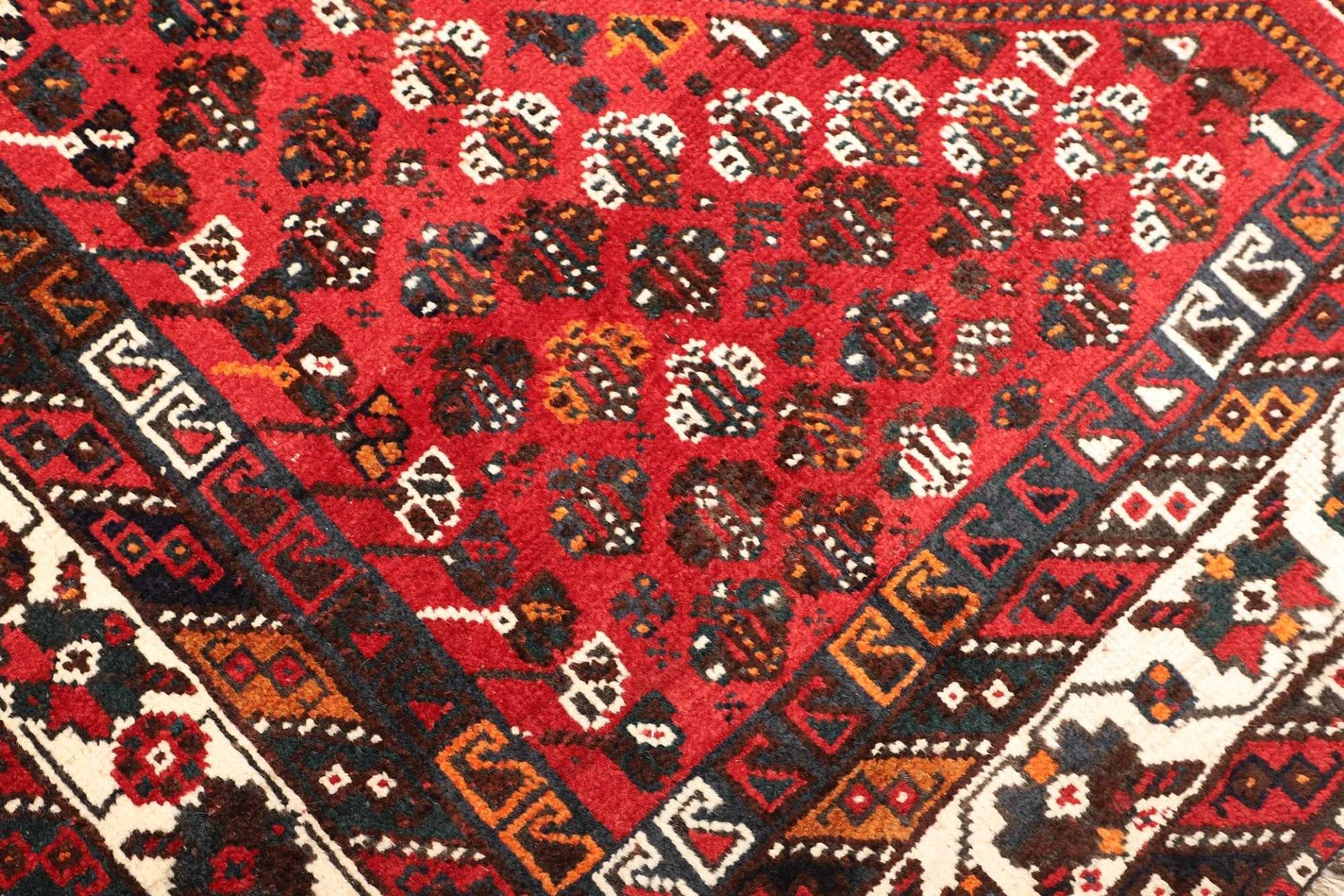 Shiraz Persian Rug — hand-knotted, 216 × 303 cm, Wool