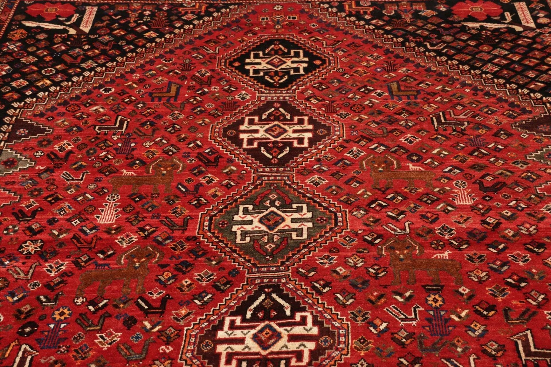 Shiraz Persian Rug 166 × 285 cm, Wool, hand-knotted