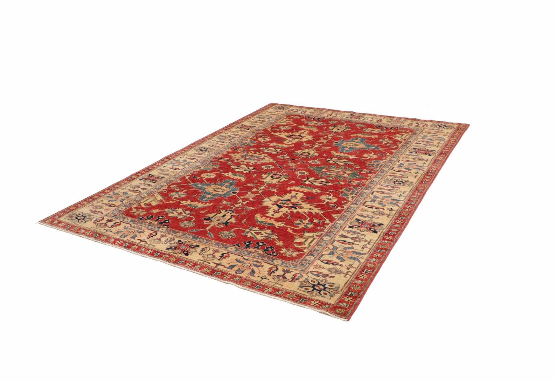 Kazak Pakistani Rug — hand-knotted, 212 × 298 cm, Wool