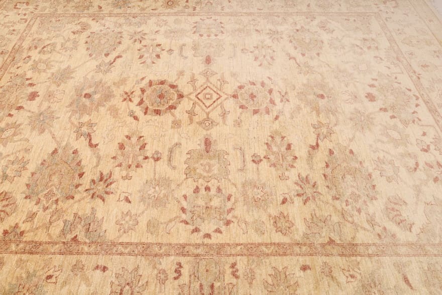 Ziegler Pakistani Rug — hand-knotted, 364 × 264 cm, Wool