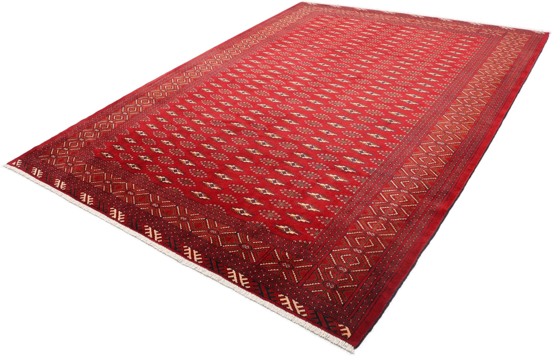 perserteppich-turkmen-215-x-290-cm-schurwolle-handgeknupft-6 Hand-Knotted Wool Turkmen Persian Rug, 215 × 290 cm